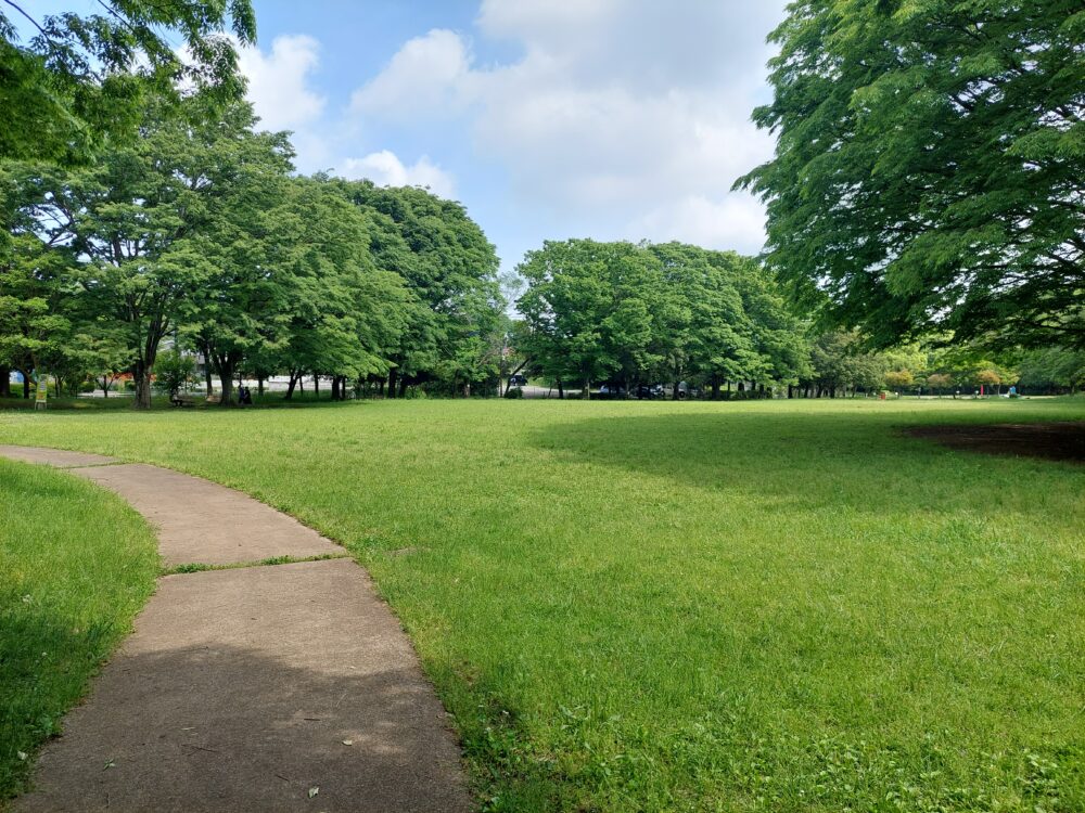 西城沼公園の多目的芝生広場