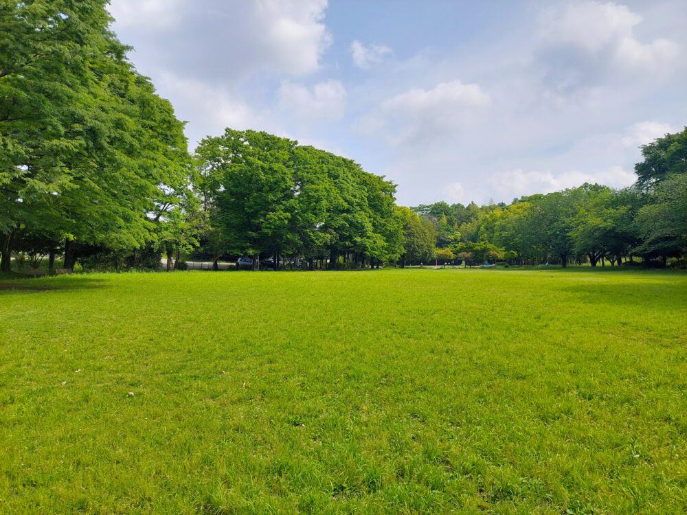西城沼公園の多目的芝生広場
