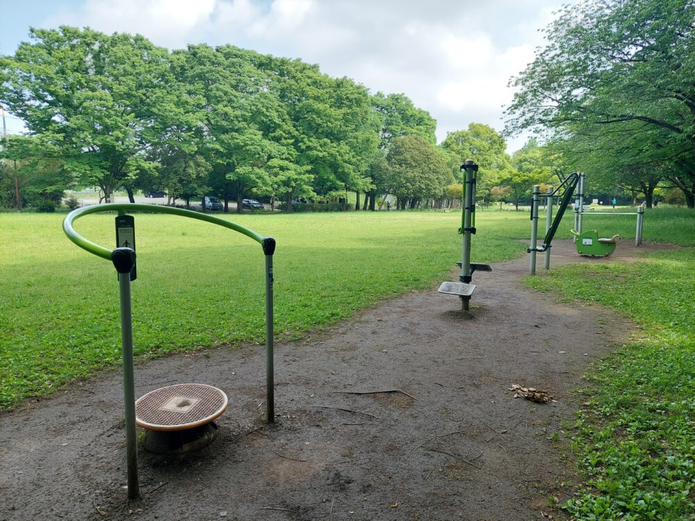 西城沼公園の多目的芝生広場にある健康遊具
