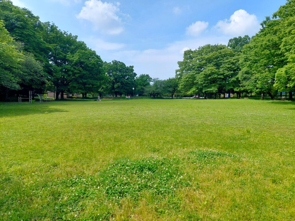 西城沼公園の多目的芝生広場