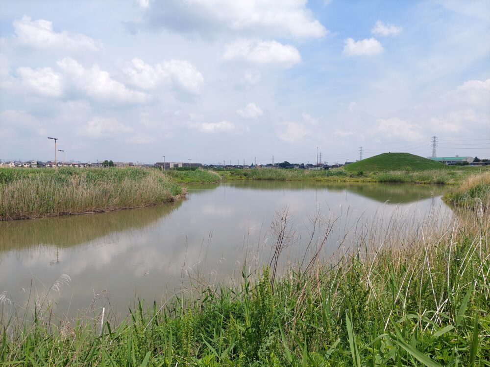 春日部夢の森公園の北側エリアにある調整池