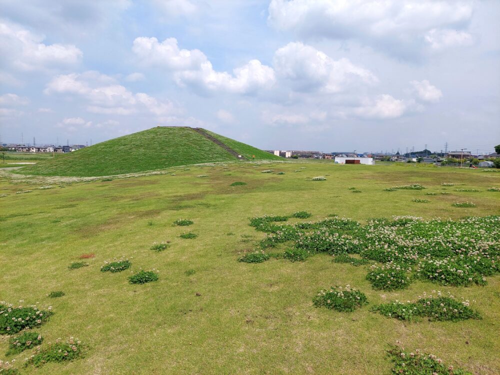 春日部夢の森公園の芝生広場と築山(丘)