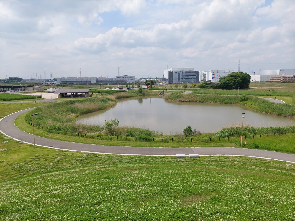 築山から見た春日部夢の森公園の調整池(北池)