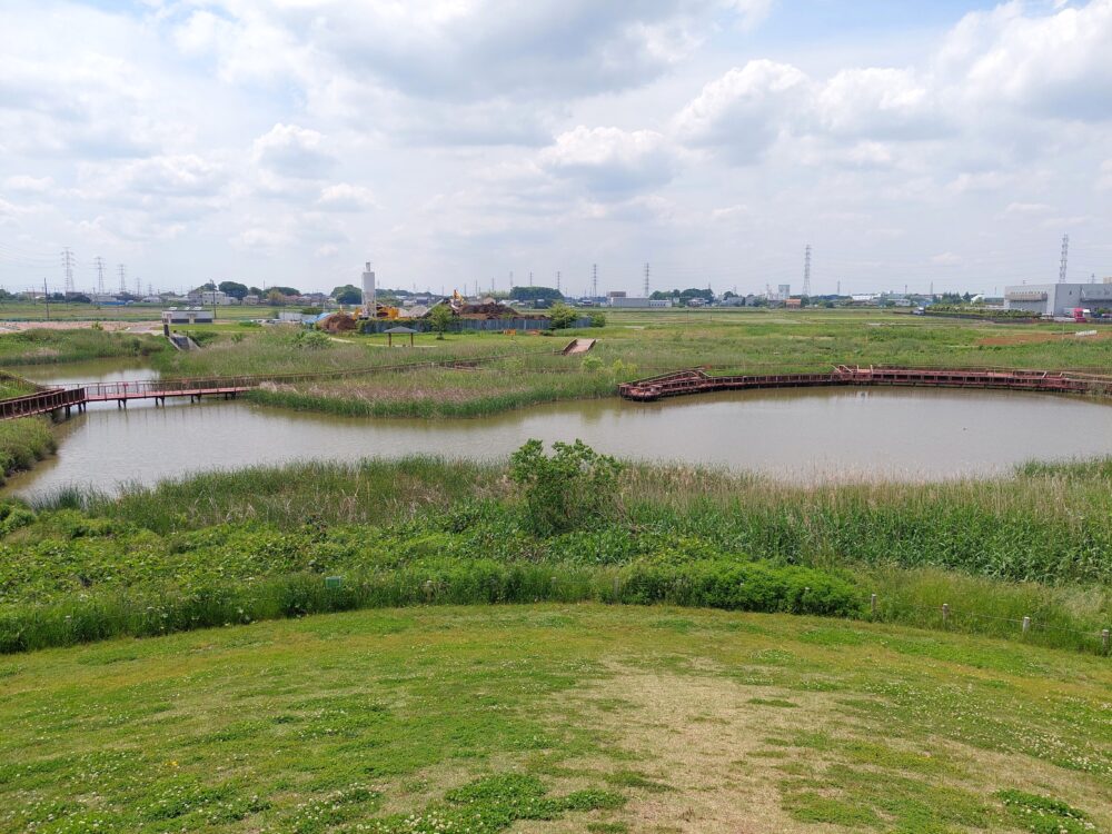 春日部夢の森公園の南側エリアにある調整池