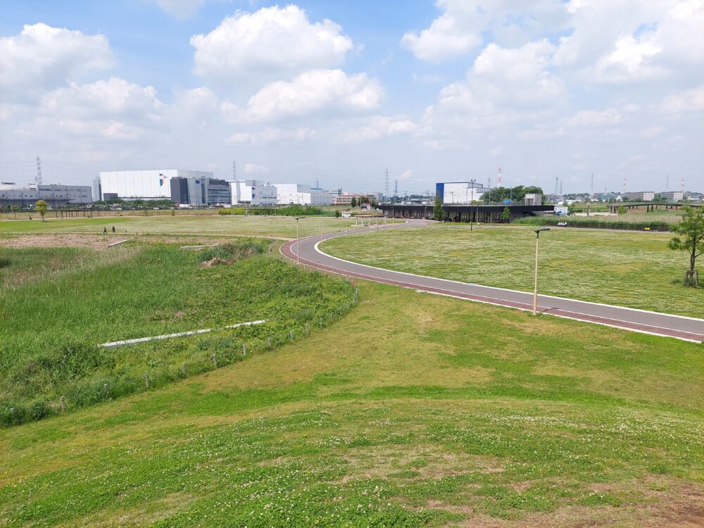築山から見た春日部夢の森公園・南園の芝生広場