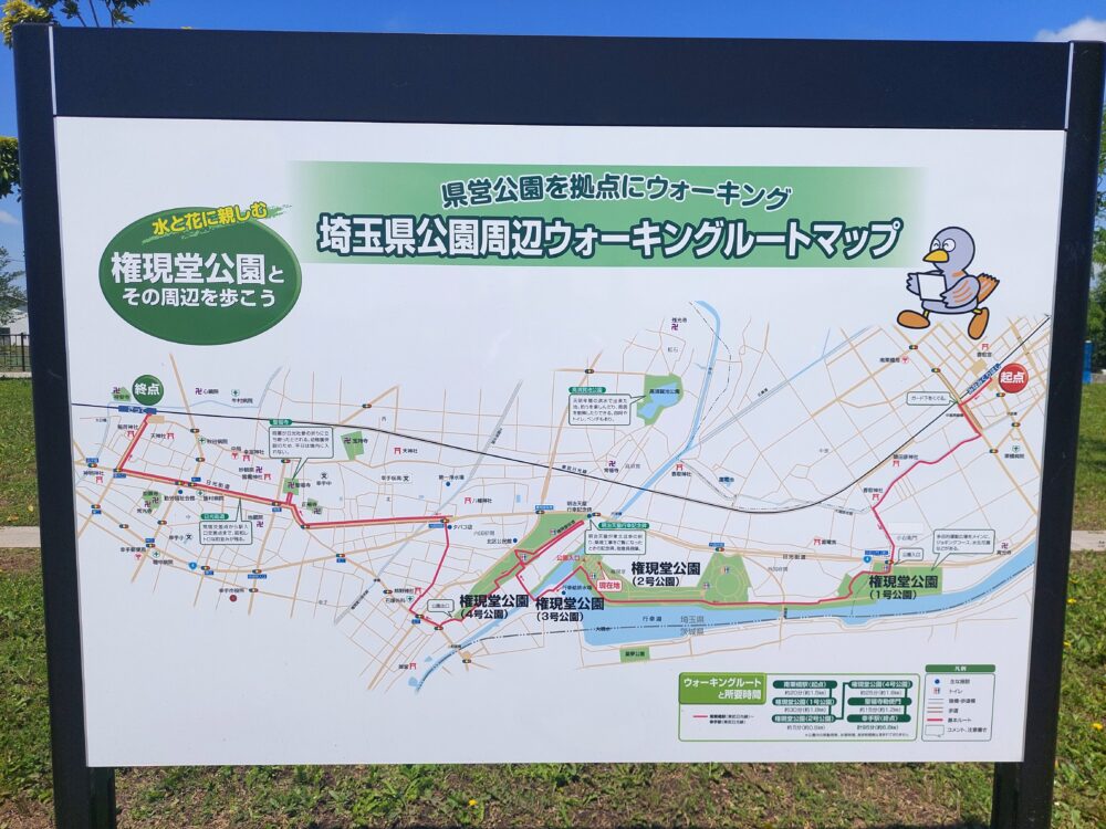 権現堂公園周辺のウォーキングルートマップ