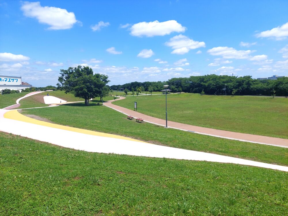 権現堂2号公園のプレイウォールと綺麗な緑地