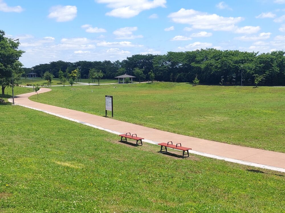 権現堂2号公園の芝生広場になっている調節池