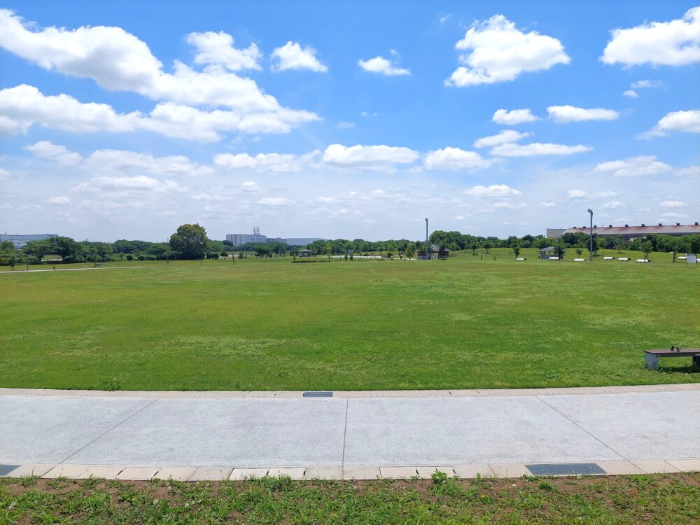 権現堂2号公園・デイキャンプ場の草地広場