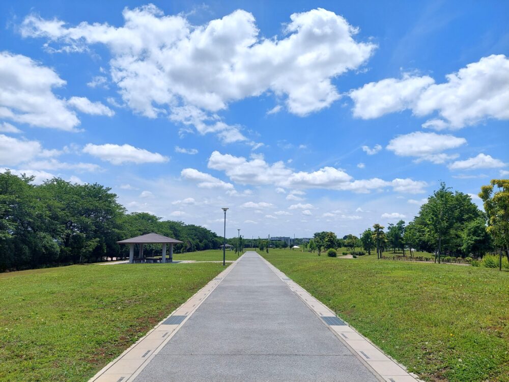 権現堂2号公園の遊歩道と東屋