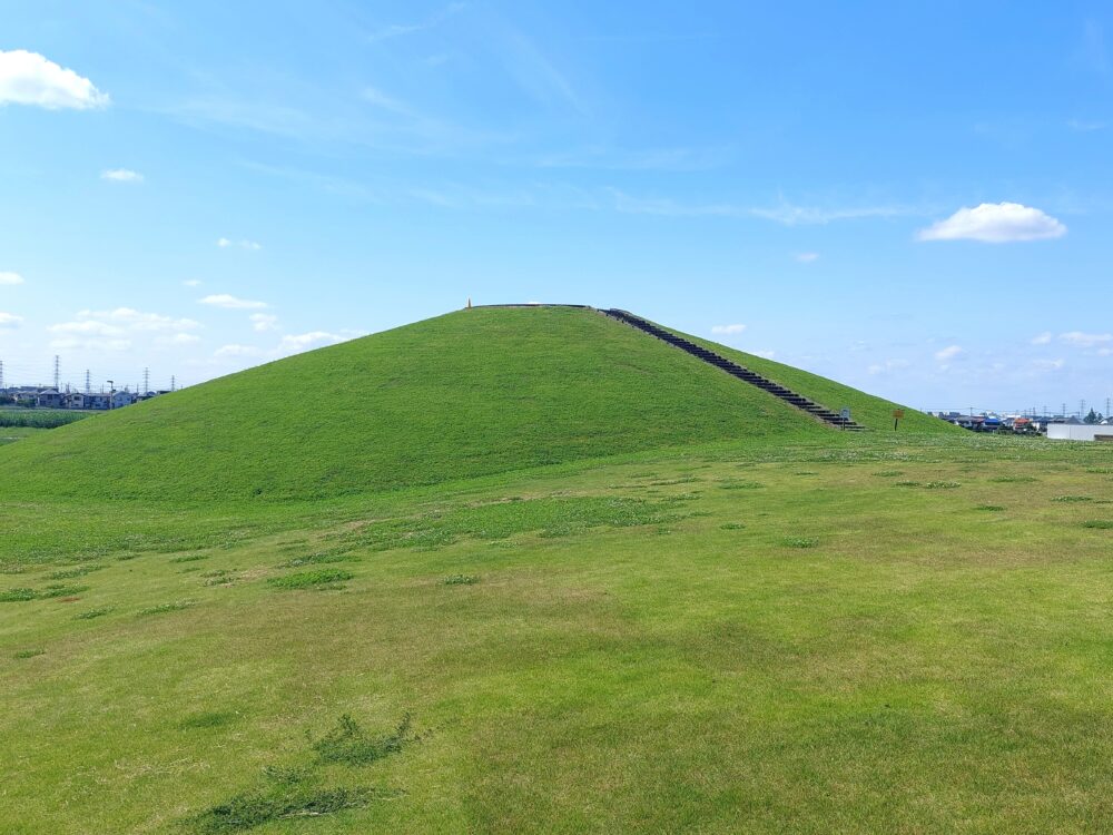 春日部夢の森公園の草原(芝生広場)と築山(丘)