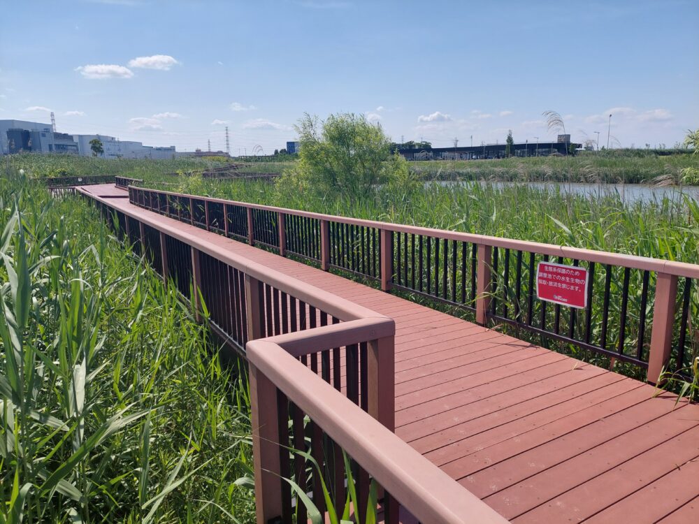 春日部夢の森公園・南園の調整池(南池)の遊歩道