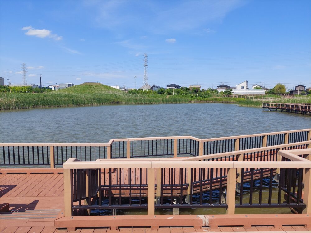 春日部夢の森公園・南園の調整池(南池)のデッキ