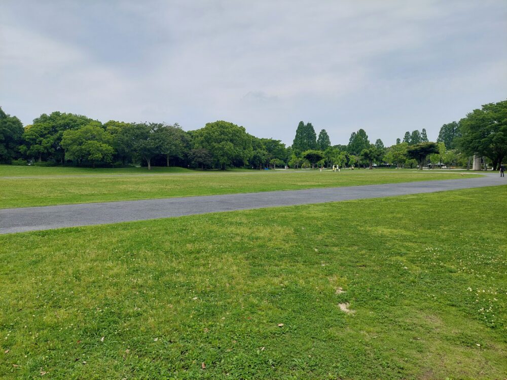 レジデンシャルパークSHOWA(庄和総合公園)の多目的広場