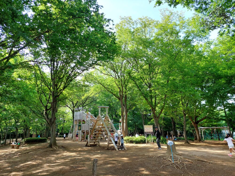 新緑の季節の内牧公園のアスレチック遊具