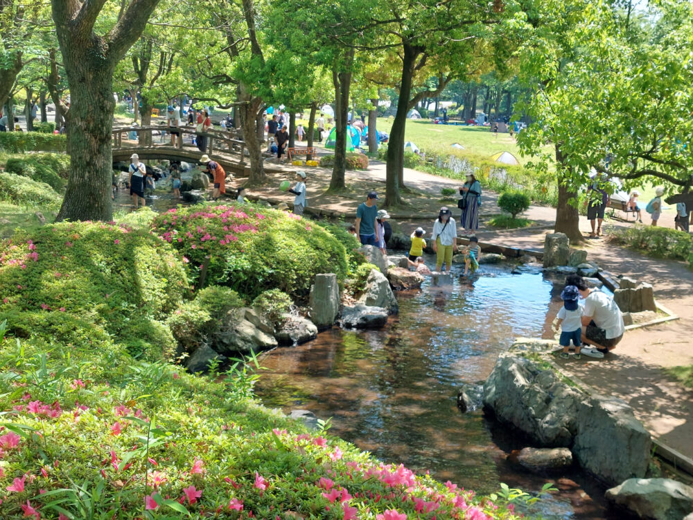 上尾丸山公園のじゃぶじゃぶ池で遊んでいるファミリーたち