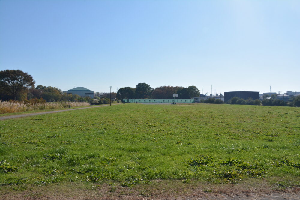 出羽公園の芝生広場