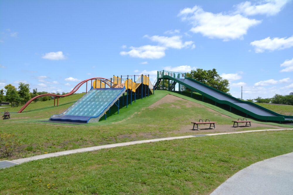 権現堂2号公園の巨大遊具
