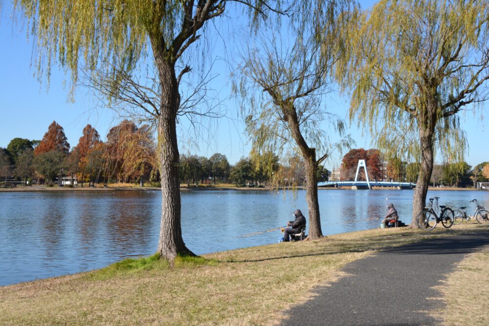 みさと公園の湖畔で釣りをする人たち