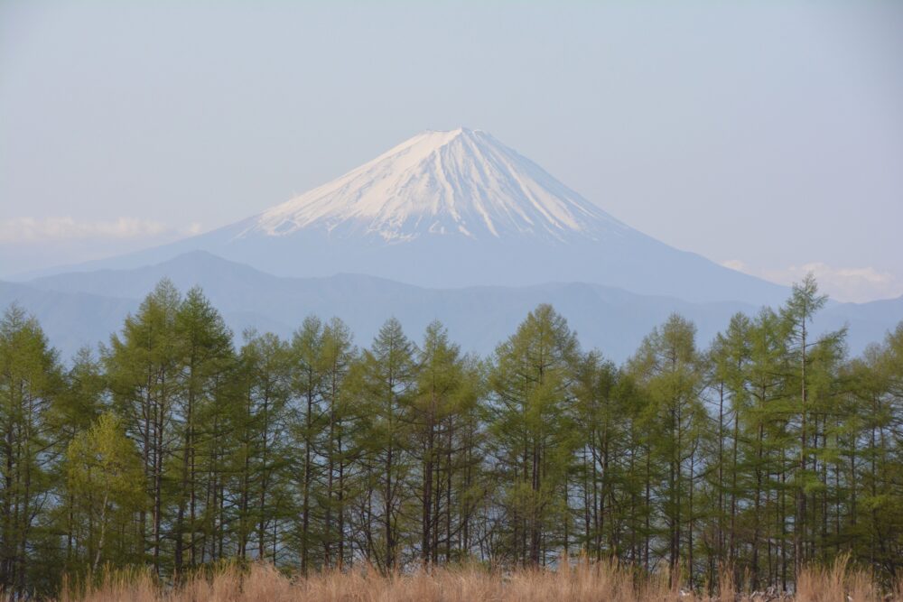乾徳山の大平牧場から見る富士山