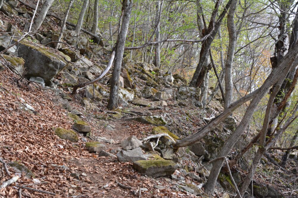 乾徳山の登山道
