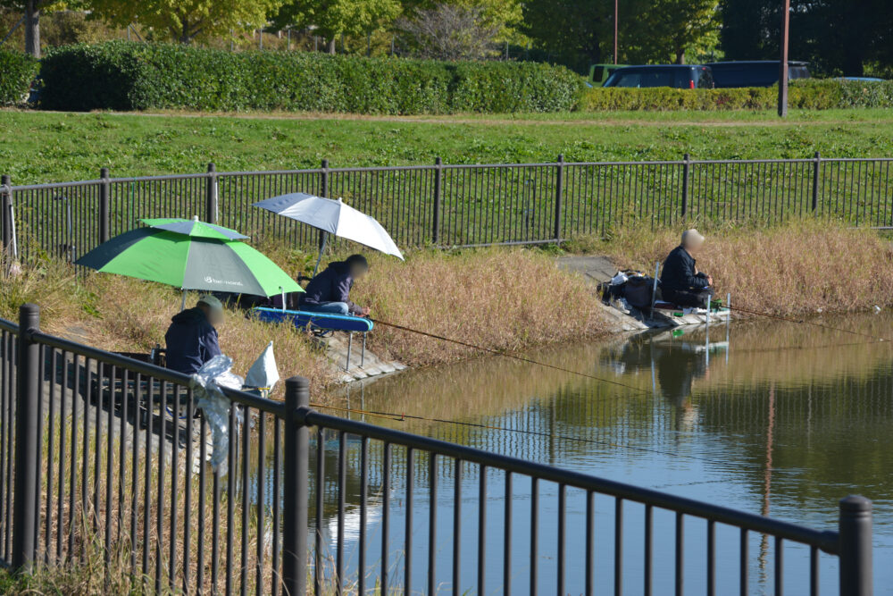 出羽公園の池で釣りをする人たち