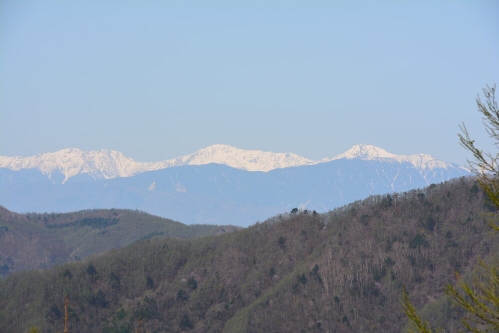 乾徳山の登山道から見た南アルプスの白峰三山と鳳凰三山