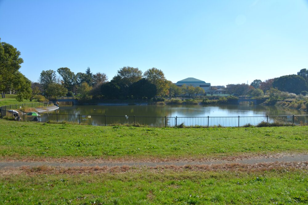 出羽公園の池