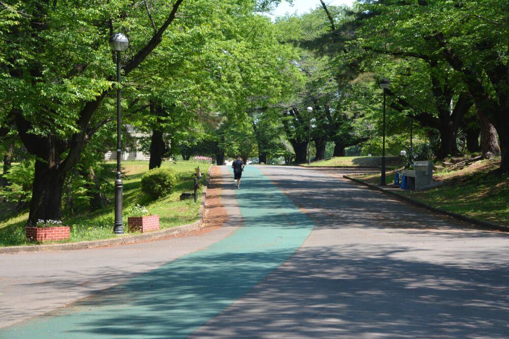 狭山稲荷山公園でランニングをしてる人