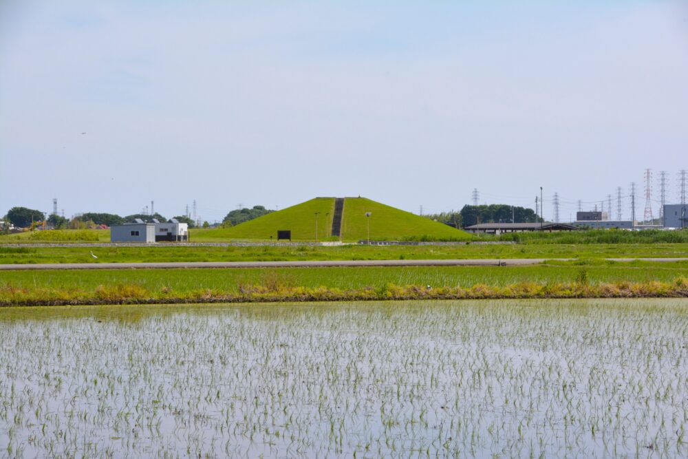 田園地帯から見た春日部夢の森公園・北園の築山