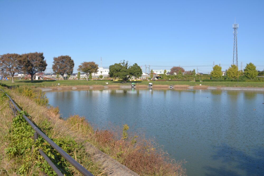 出羽公園の池