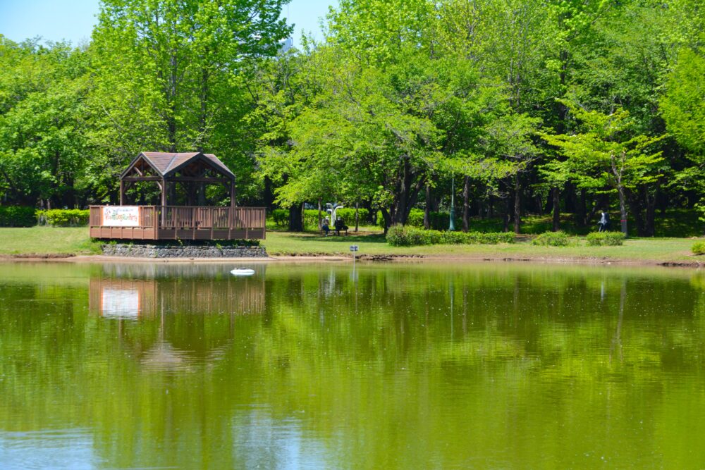 彩の森入間公園の下池と東屋