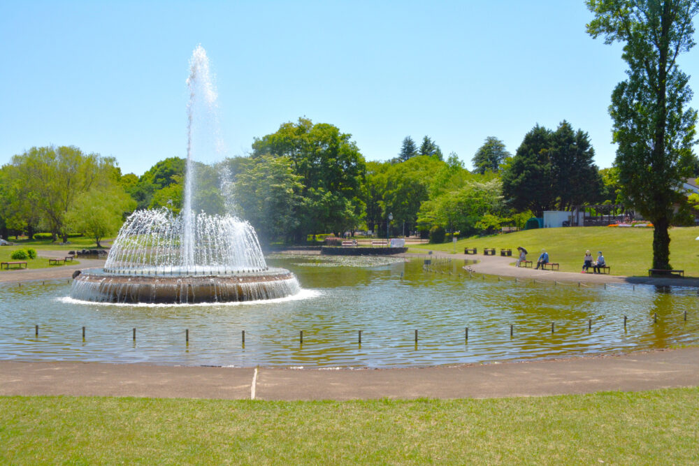 噴水が美しい彩の森入間公園の上池