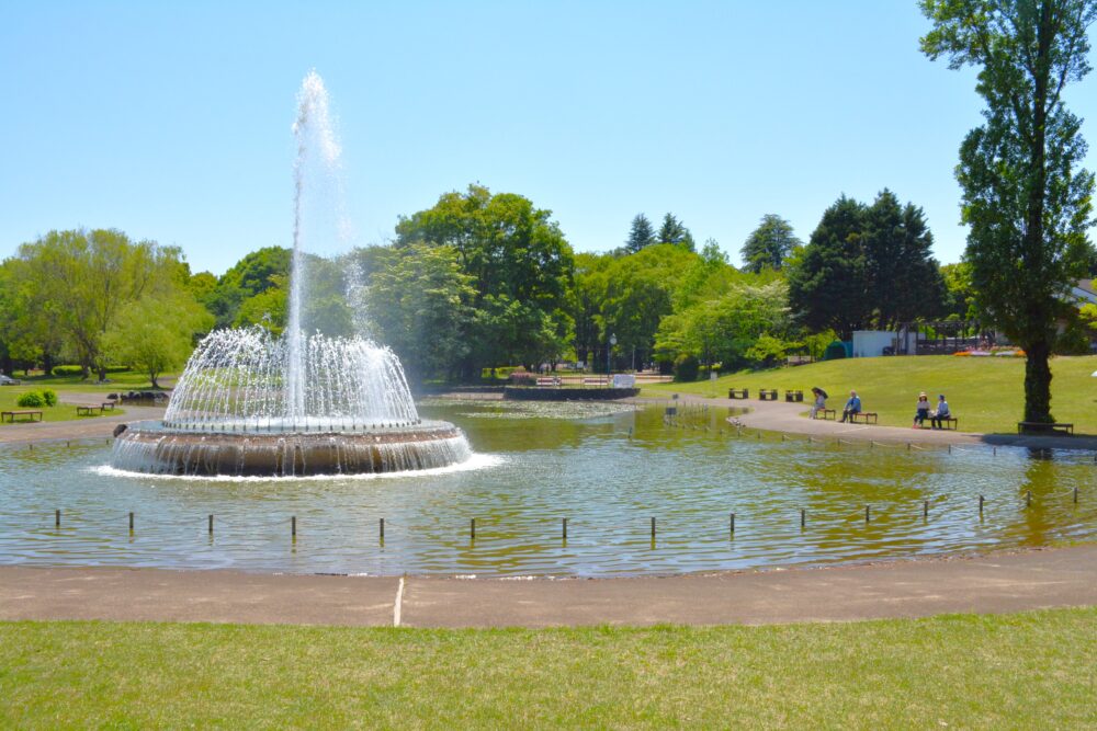 噴水が噴き出る彩の森入間公園の上池の周りでくつろぐ人々