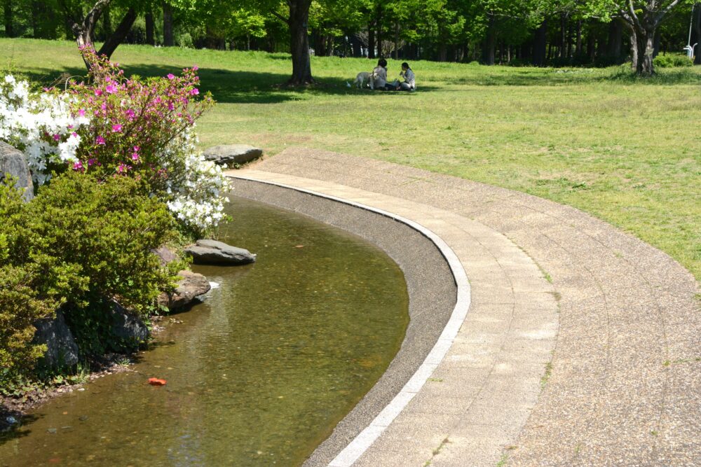 彩の森入間公園のせせらぎ