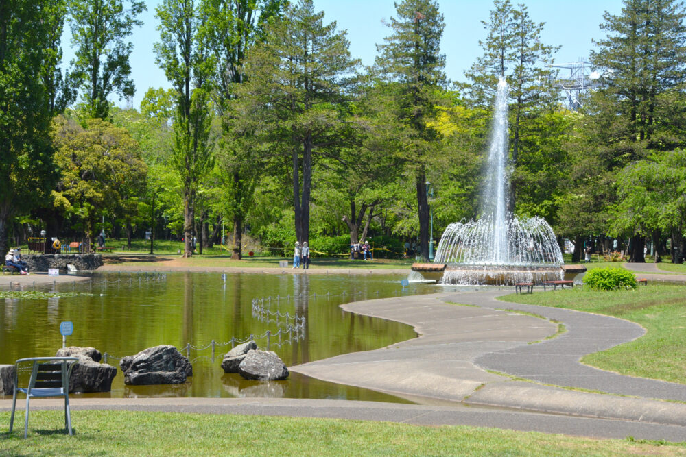 彩の森入間公園の上池の噴水