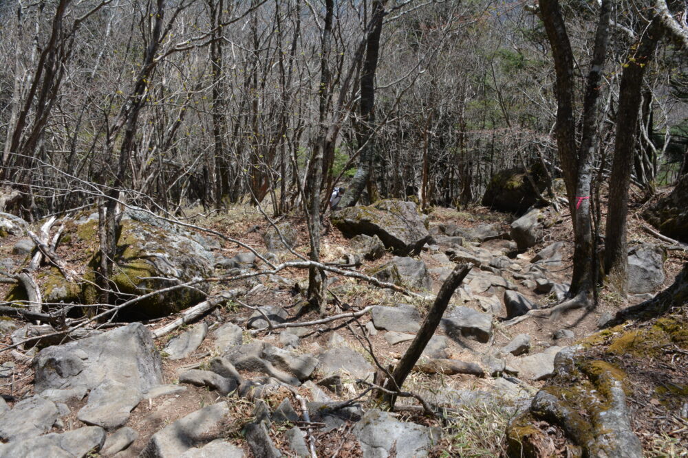 乾徳山の登山道