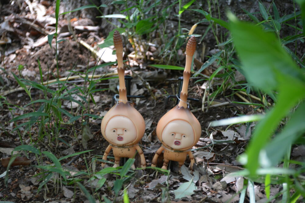 東松山ぼたん園のこびと探し