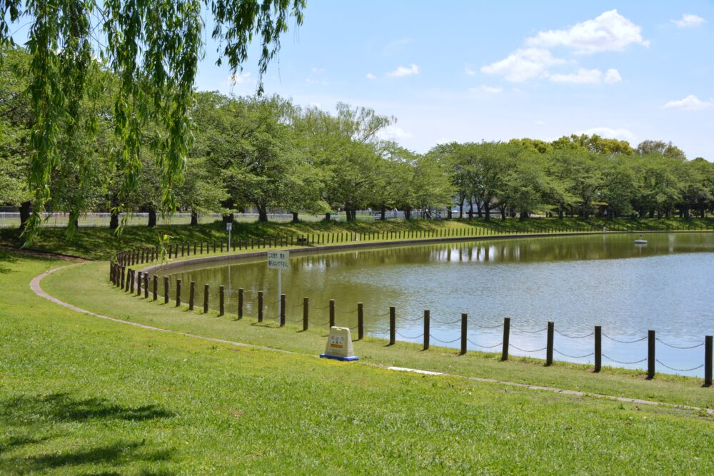 県民健康福祉村の修景池湖畔の風景