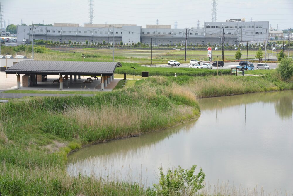 春日部夢の森公園の北側エリアにある調整池と休憩舎