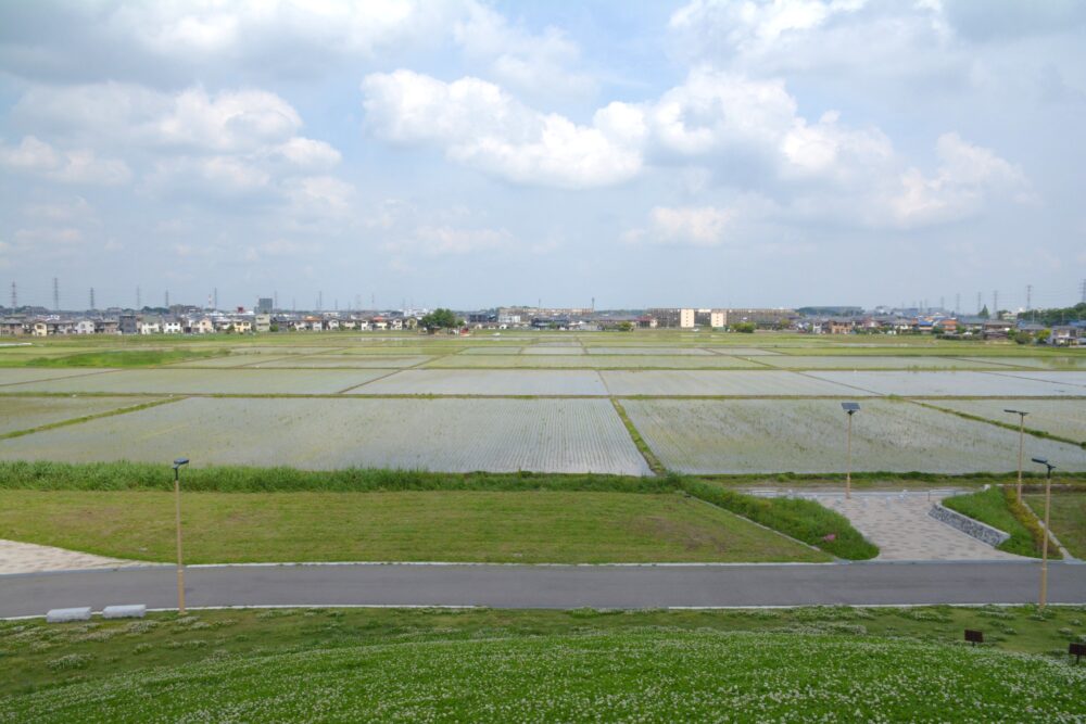 春日部夢の森公園・北園の築山趙雨情から見た春日部の田園風景と町並み