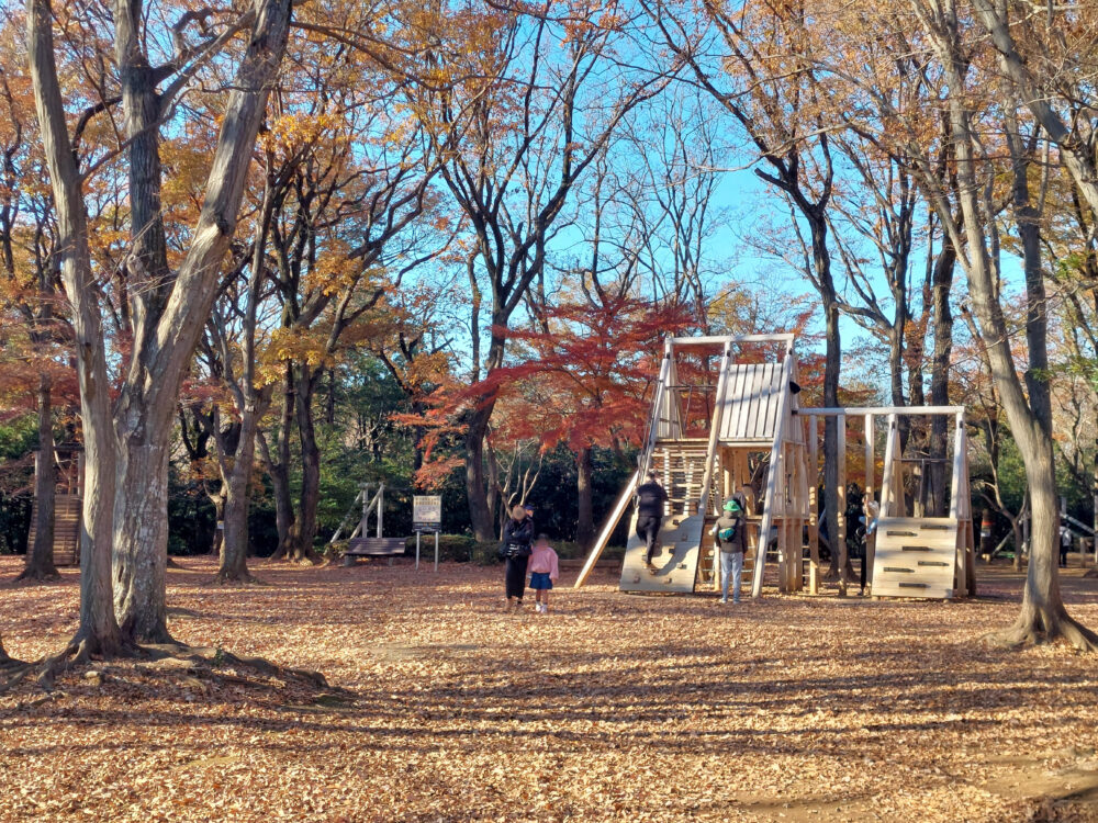 紅葉時期の内牧公園のアスレチック広場で遊ぶ人たち