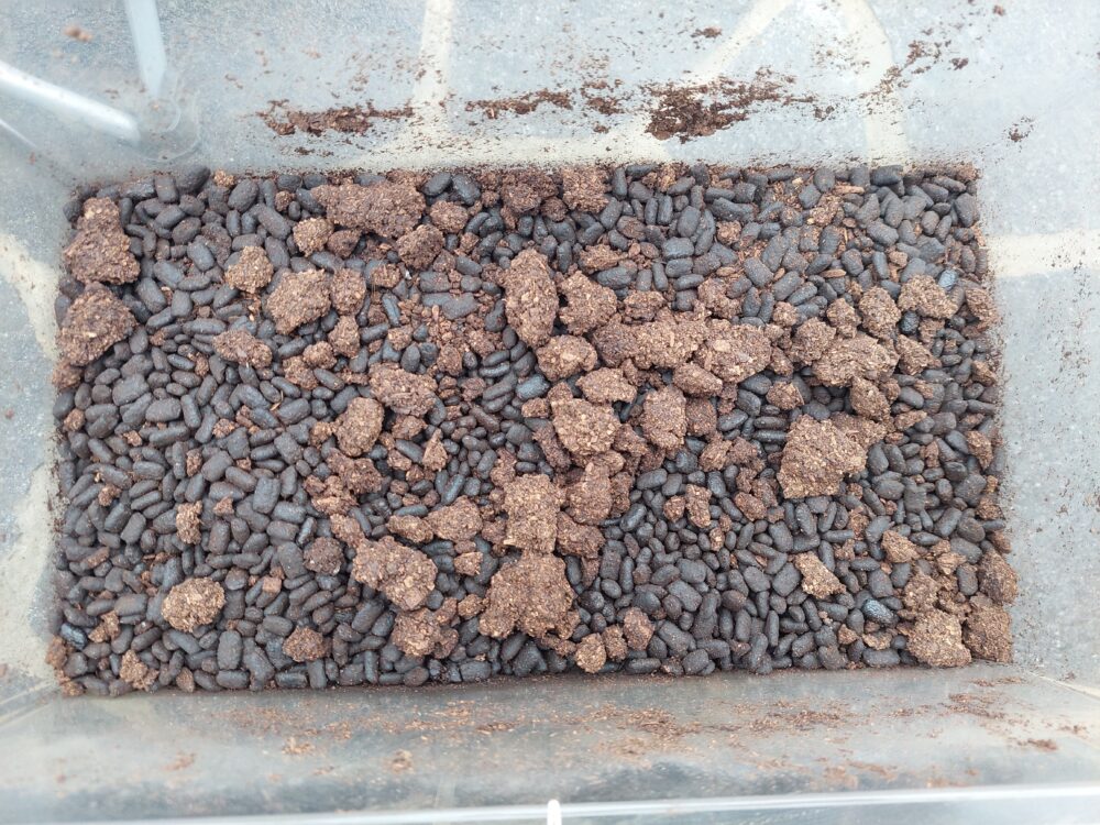 飼育ケース一面を覆い尽くすカブトムシの幼虫のフン