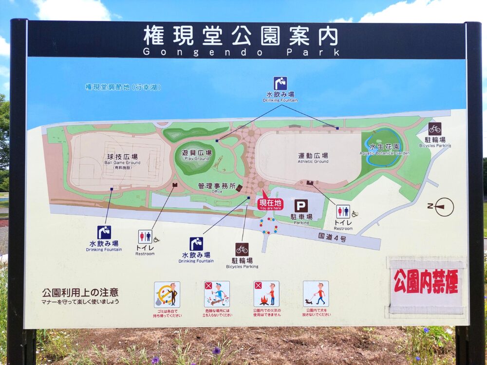 権現堂1号公園の園内マップ