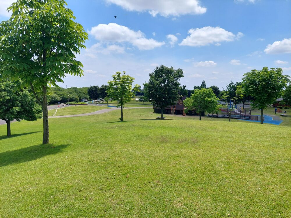権現堂1号公園・遊具広場の芝生のフィールド