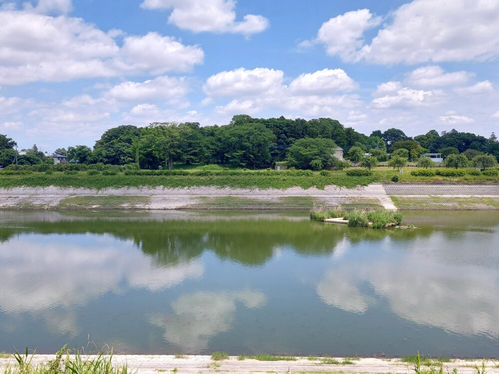 権現堂1号公園の東側にある権現堂調整池(行楽湖)