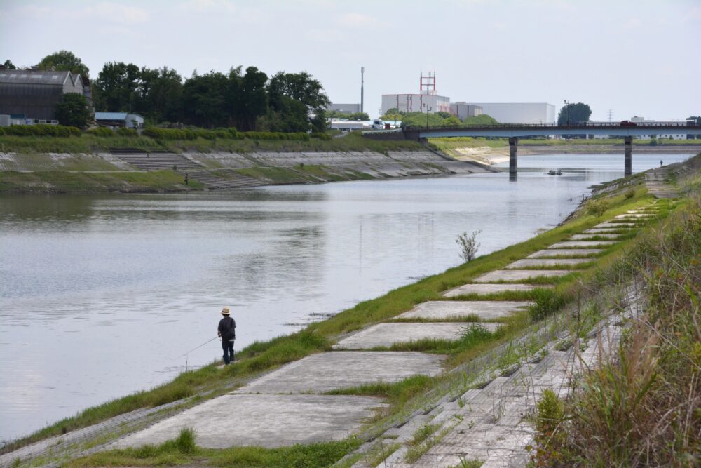 権現堂1号公園の東側にある権現堂調整池(行楽湖)で釣りをしてる人