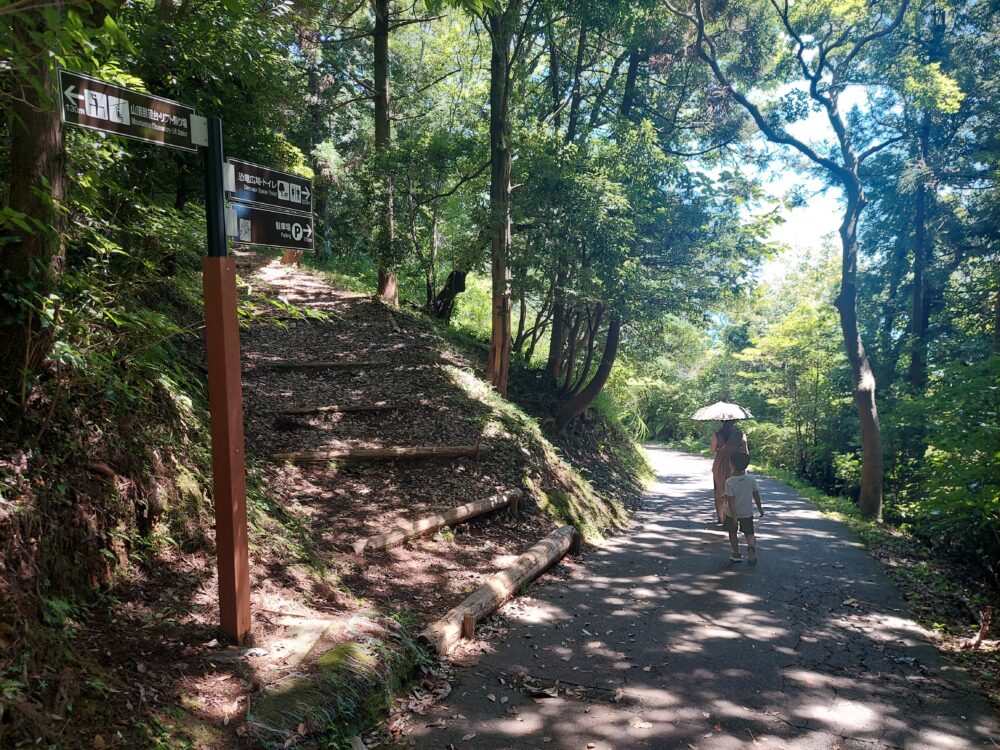 小室山の山道を下る親子