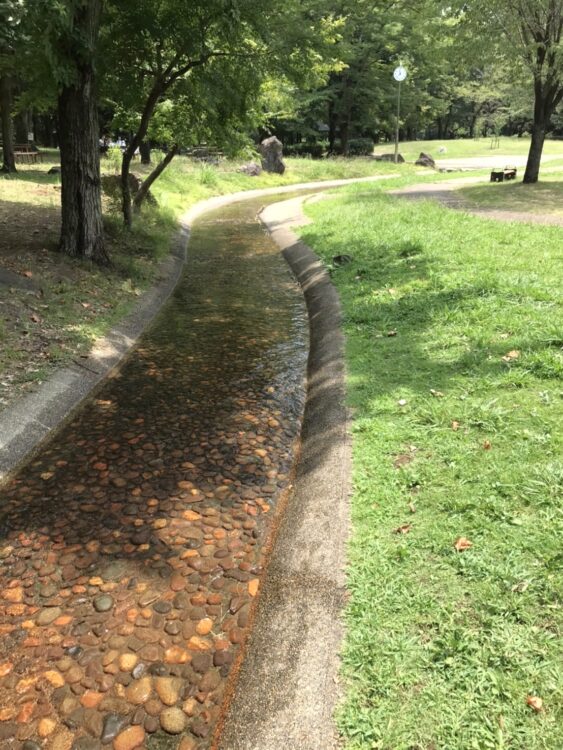 桶川・城山公園のじゃぶじゃぶ池nいあるせせらぎ