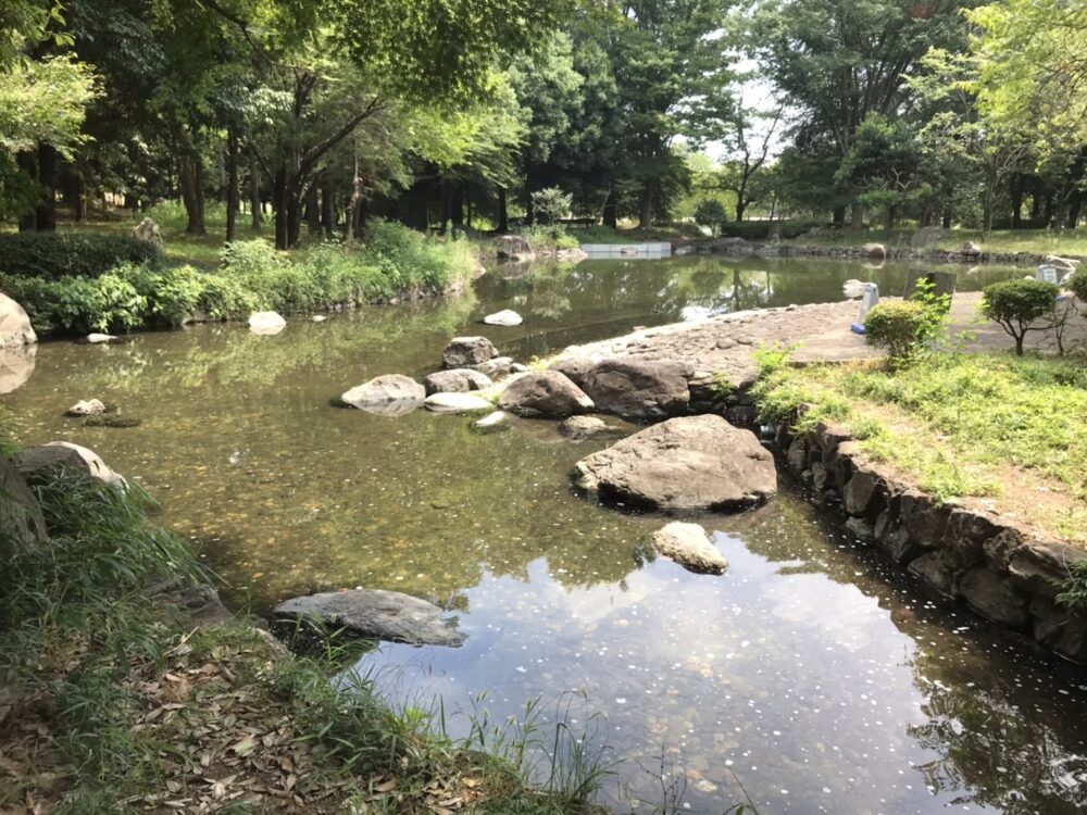 桶川・城山公園のじゃぶじゃぶ池下流にある中池